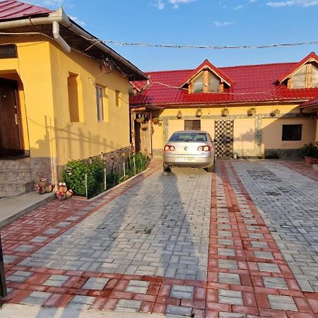 Hotel Casa Andreea à Novaci-Străini Extérieur photo