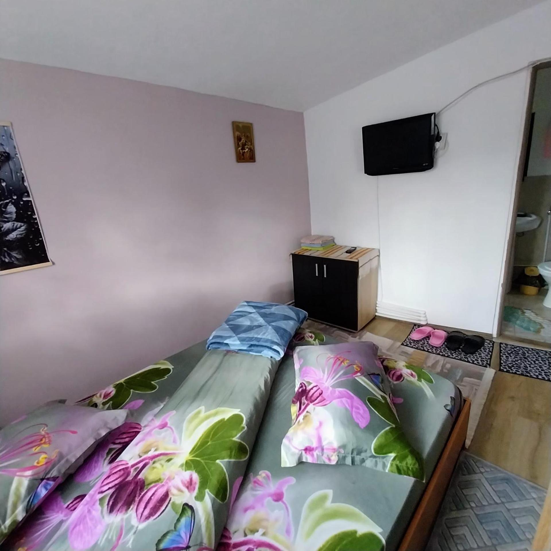 Hotel Casa Andreea à Novaci-Străini Extérieur photo