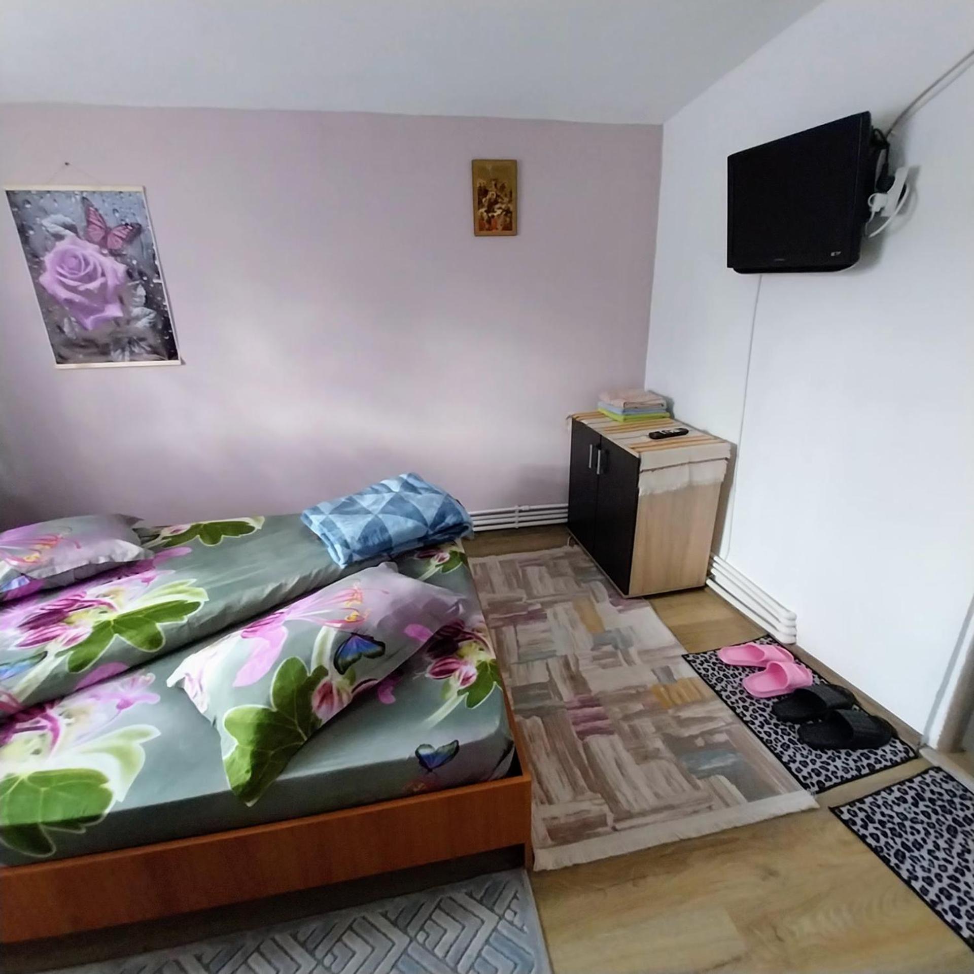 Hotel Casa Andreea à Novaci-Străini Extérieur photo