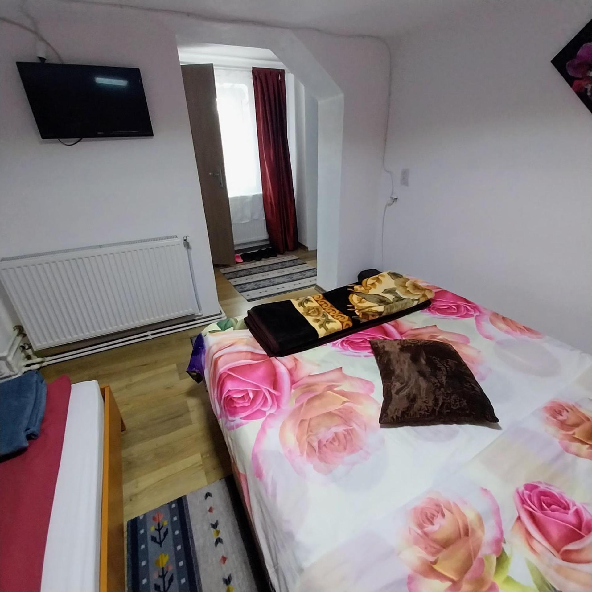 Hotel Casa Andreea à Novaci-Străini Extérieur photo